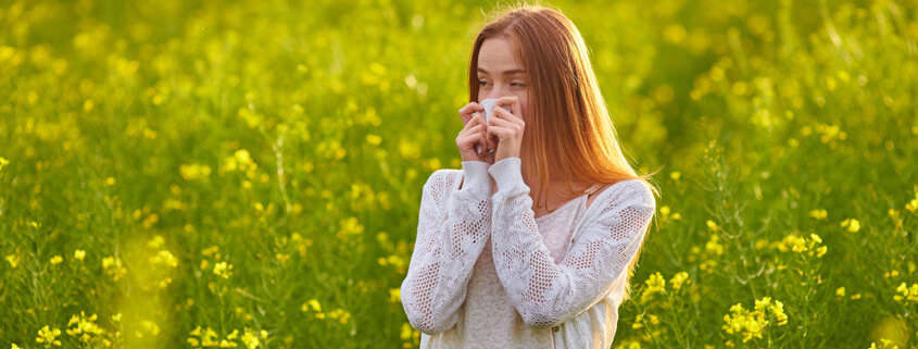 Suffering pollen allergy or hay fever