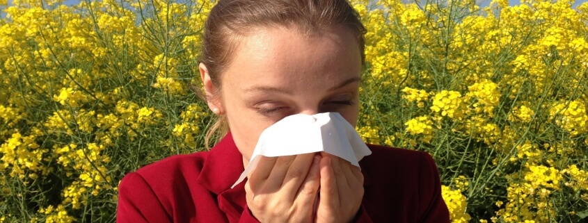 food allergen testing