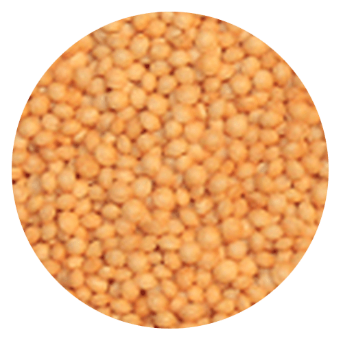gluten allergy