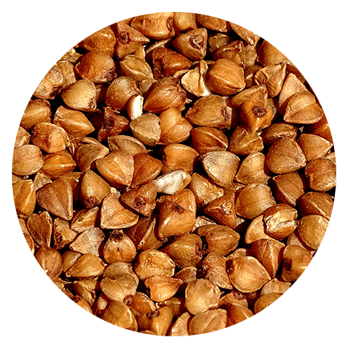 gluten allergy
