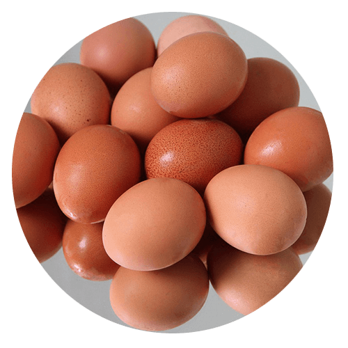 eggs - Gluten Allergy