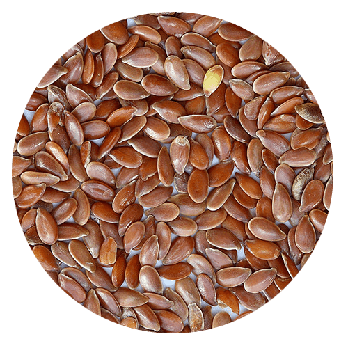 gluten allergy