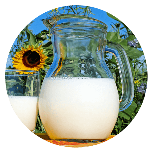 hemp milk - Dairy Allergy