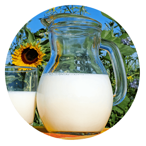 dairy allergy