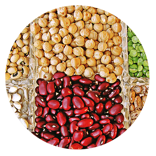 legumes - Gluten Allergy