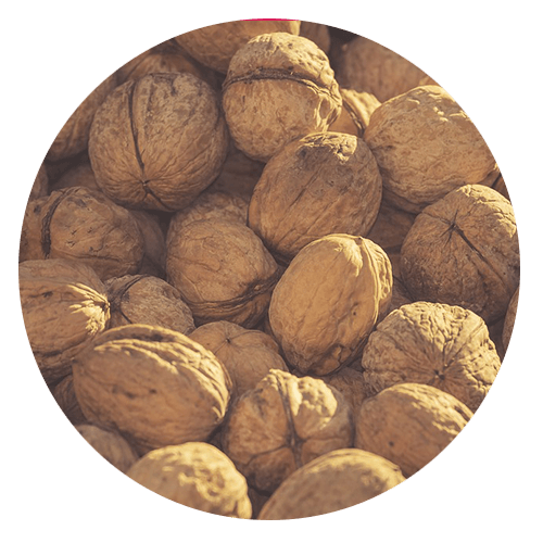 gluten allergy