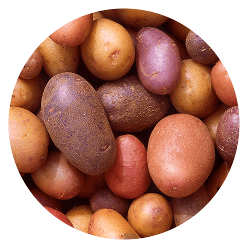 potatoes - Gluten Allergy