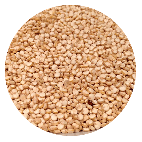 gluten allergy