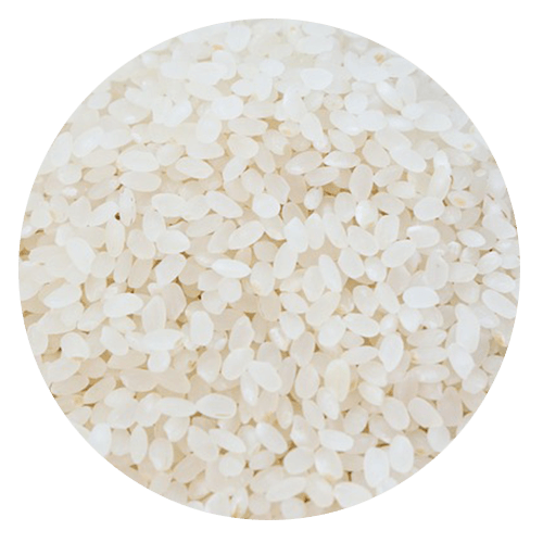 rice - Gluten Allergy