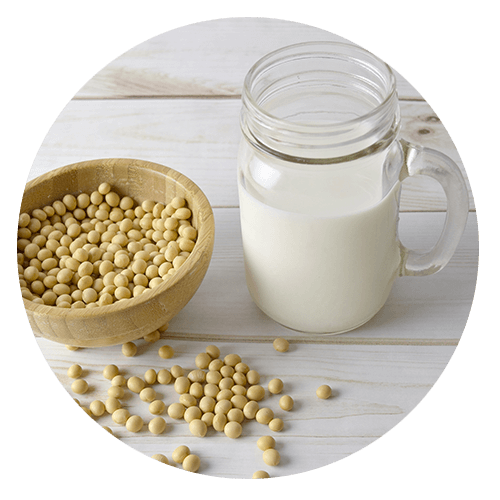 soya milk - Dairy Allergy