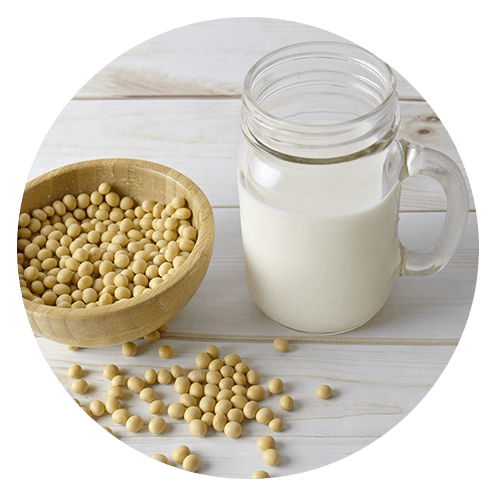 dairy allergy