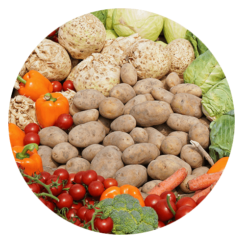 gluten allergy