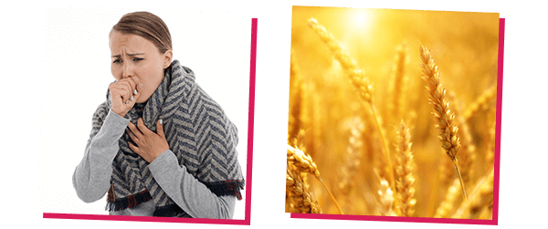 wheat allergy pictures - Gluten Allergy